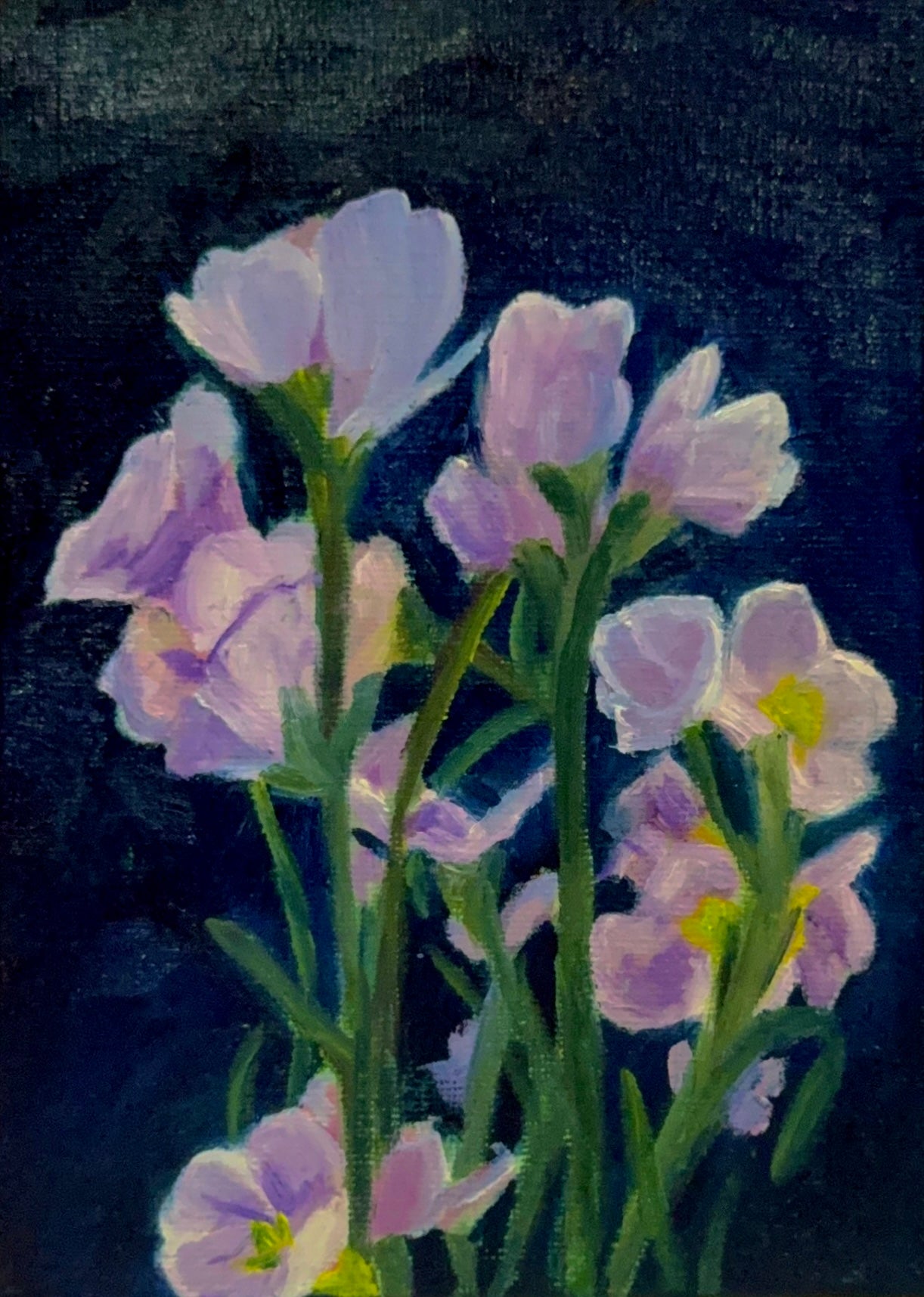 Moonlit Petals